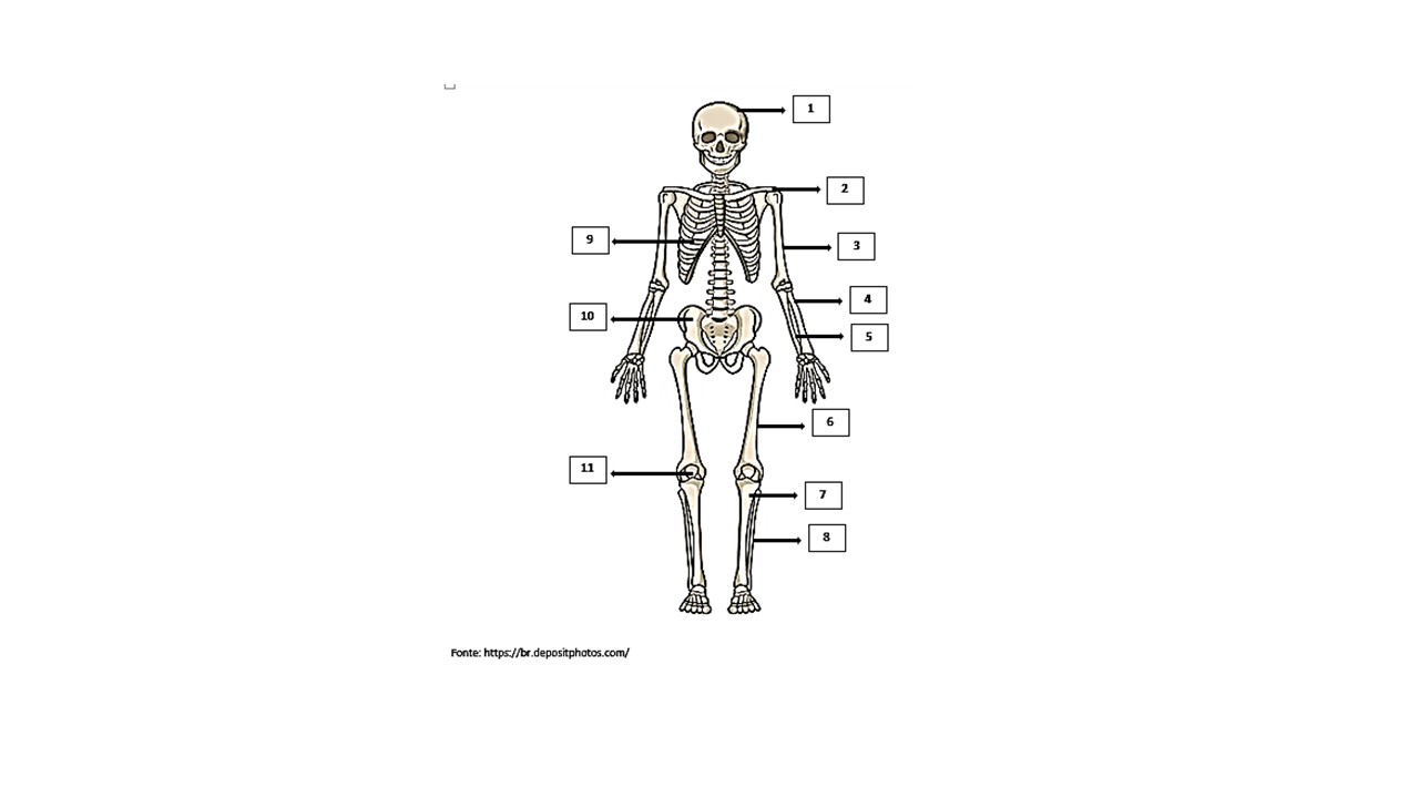 Unicesumar Bedu Mapa Anatomia Aplicada A Educa O F Sica